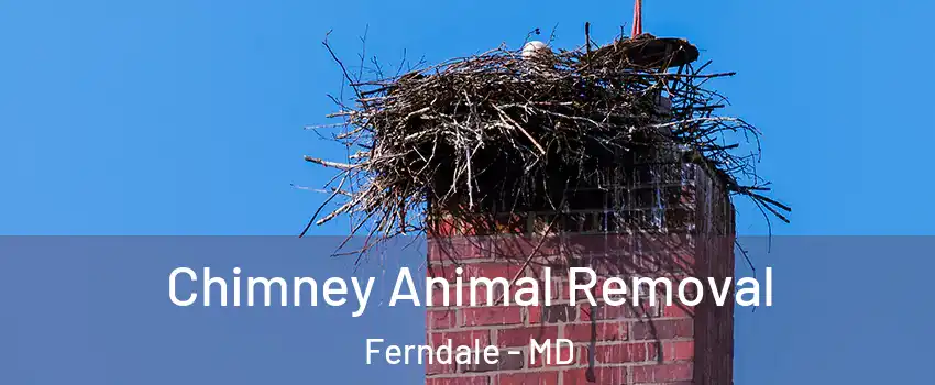  Chimney Animal Removal Ferndale - MD