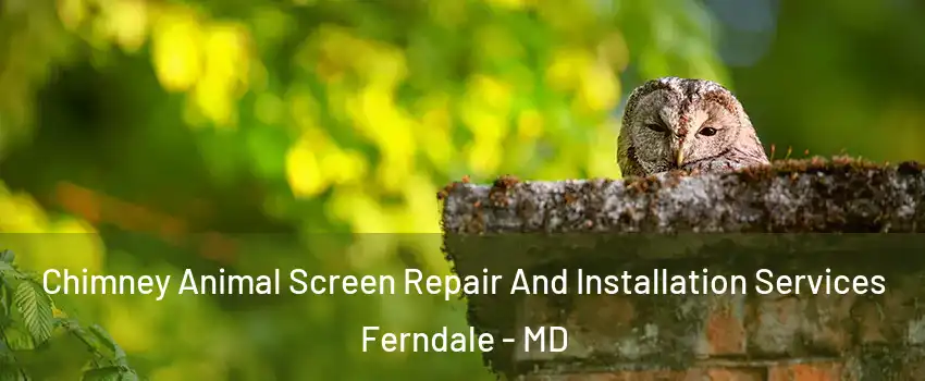  Chimney Animal Screen Repair And Installation Services Ferndale - MD