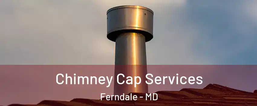  Chimney Cap Services Ferndale - MD