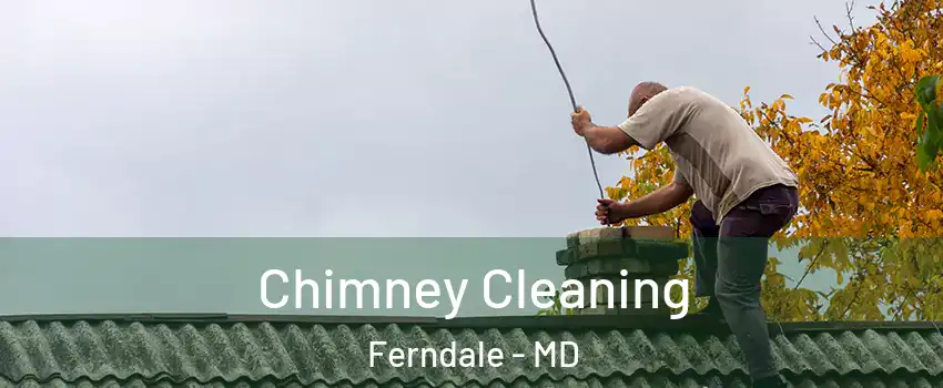  Chimney Cleaning Ferndale - MD