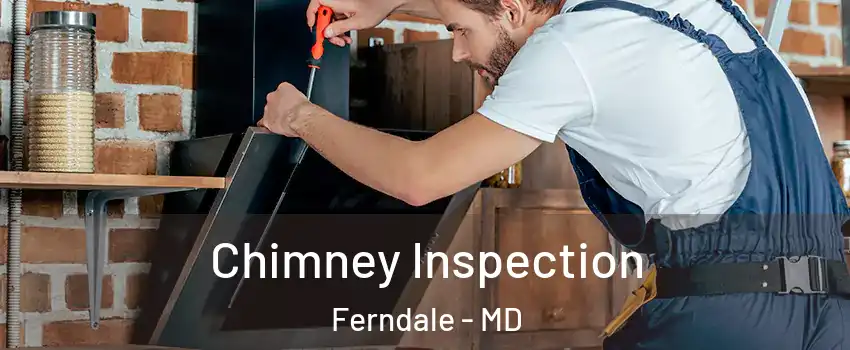  Chimney Inspection Ferndale - MD