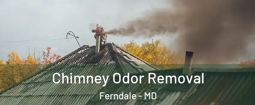  Chimney Odor Removal Ferndale - MD