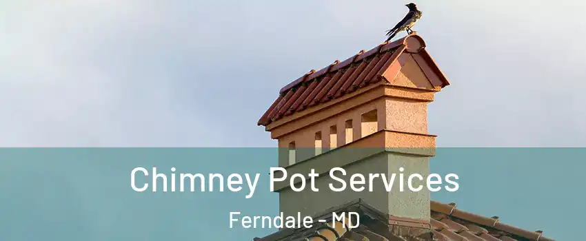  Chimney Pot Services Ferndale - MD
