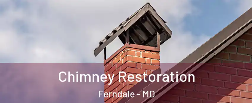  Chimney Restoration Ferndale - MD