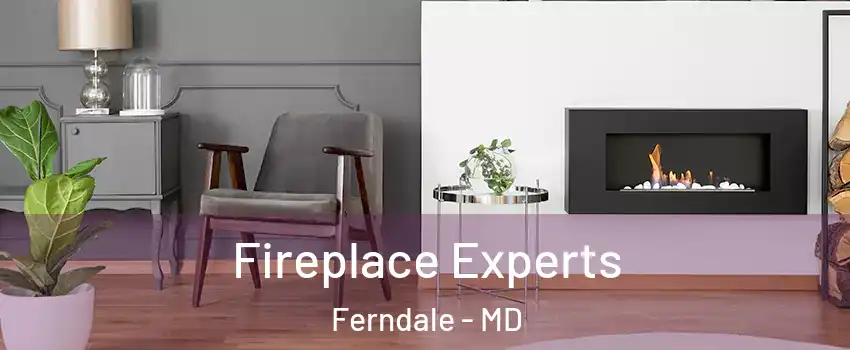  Fireplace Experts Ferndale - MD