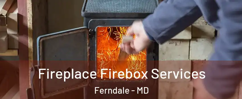  Fireplace Firebox Services Ferndale - MD