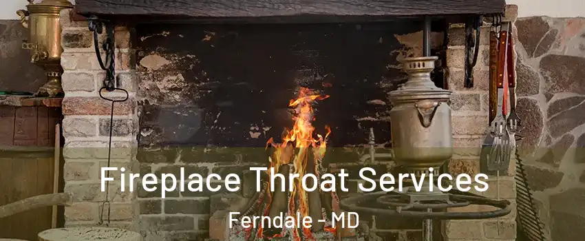  Fireplace Throat Services Ferndale - MD