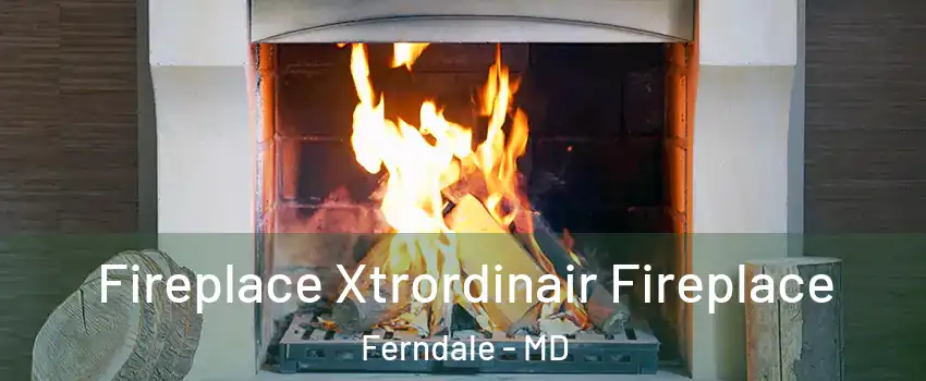  Fireplace Xtrordinair Fireplace Ferndale - MD