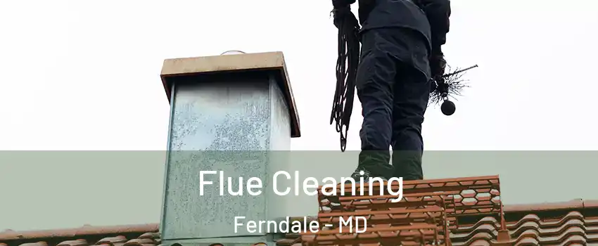  Flue Cleaning Ferndale - MD