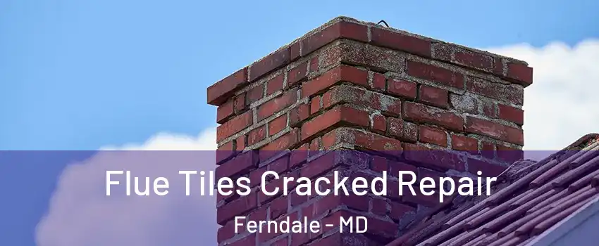  Flue Tiles Cracked Repair Ferndale - MD