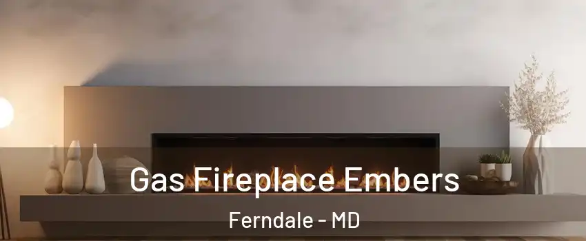  Gas Fireplace Embers Ferndale - MD