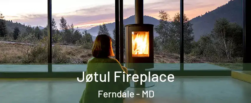  Jøtul Fireplace Ferndale - MD