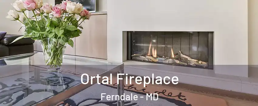  Ortal Fireplace Ferndale - MD