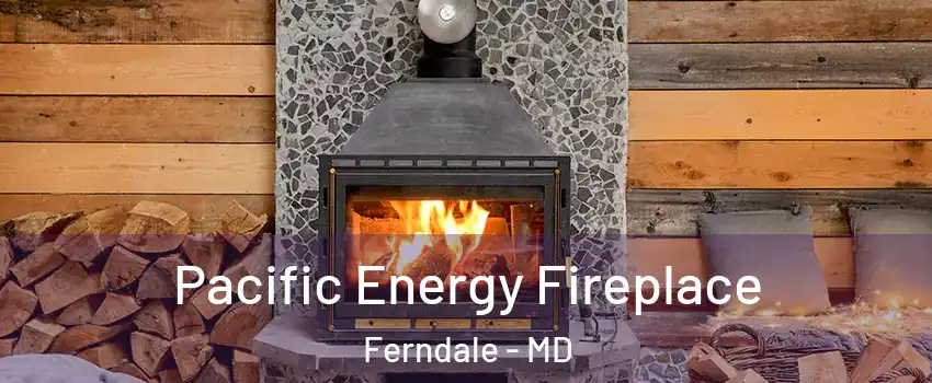  Pacific Energy Fireplace Ferndale - MD