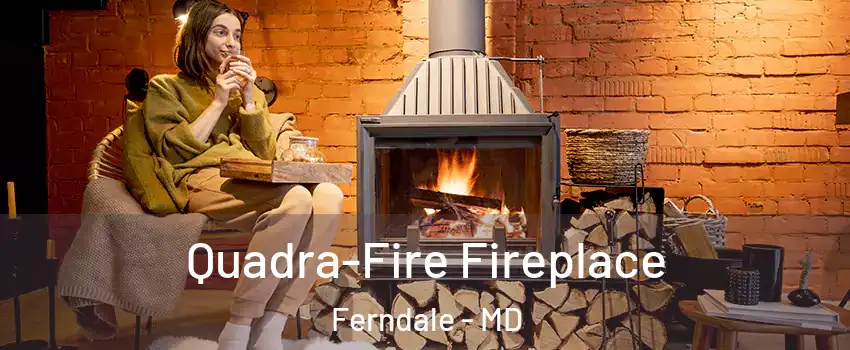  Quadra-Fire Fireplace Ferndale - MD
