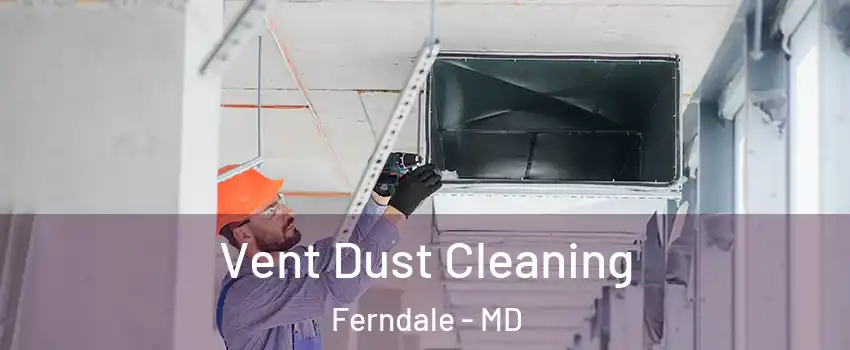  Vent Dust Cleaning Ferndale - MD