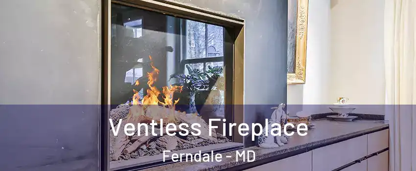  Ventless Fireplace Ferndale - MD